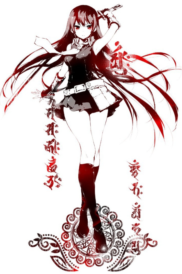 Девушка аниме Akame ga Kill