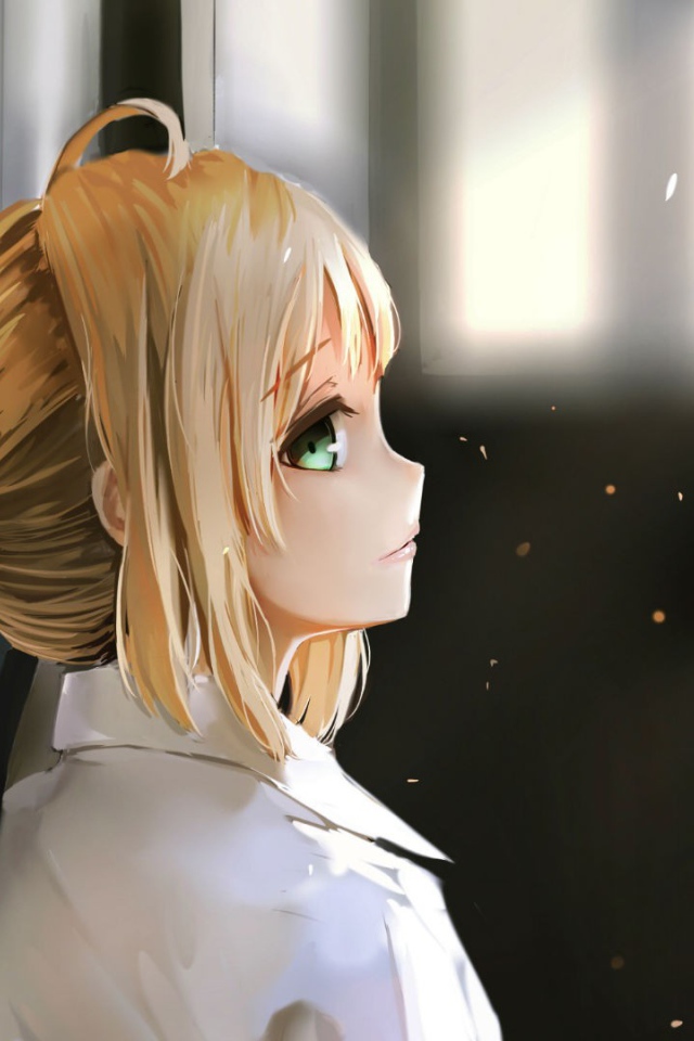 Девушка аниме смотрит вверх, Ночь прибытия