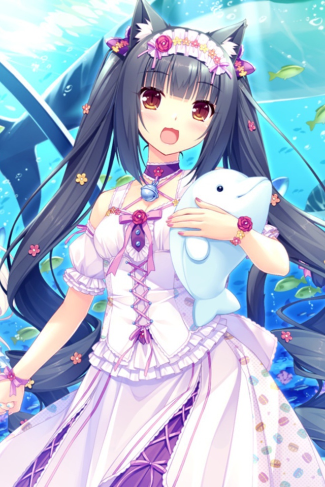 Девушки аниме в океанариуме, Neko Para