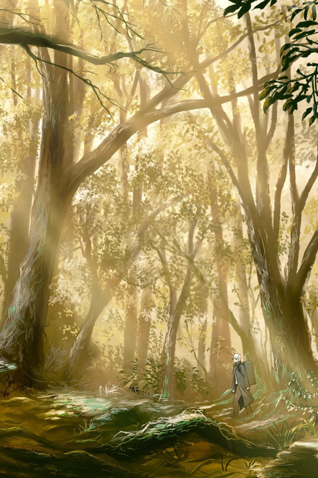 Светлый лес в аниме Мастер Муси