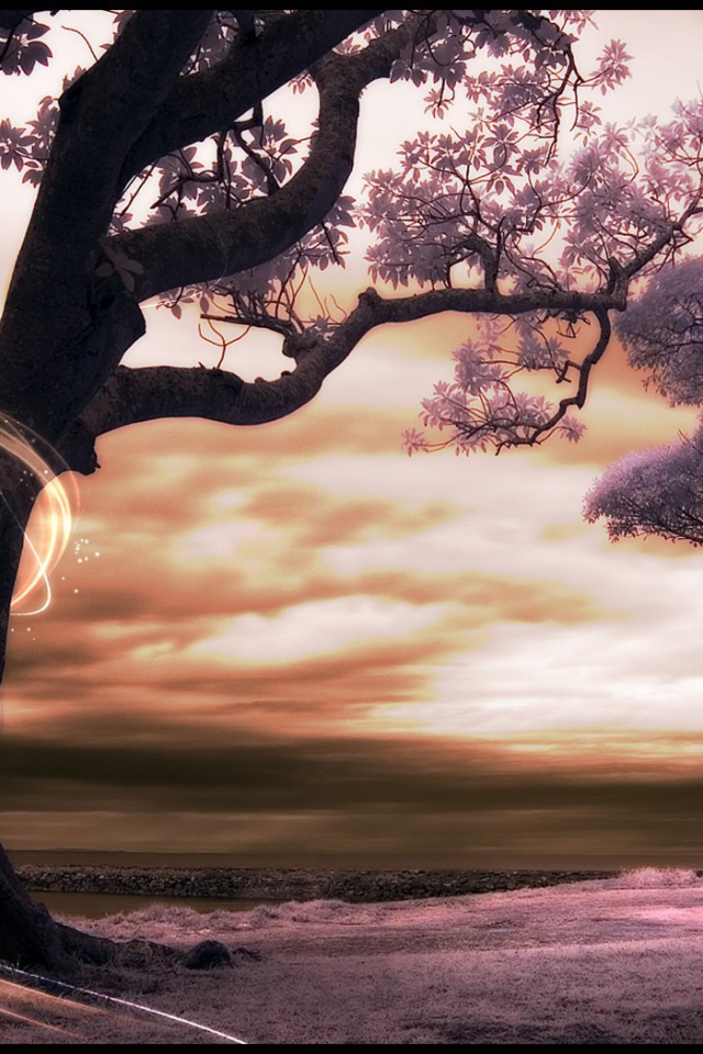 Сказочный сад в мире аниме