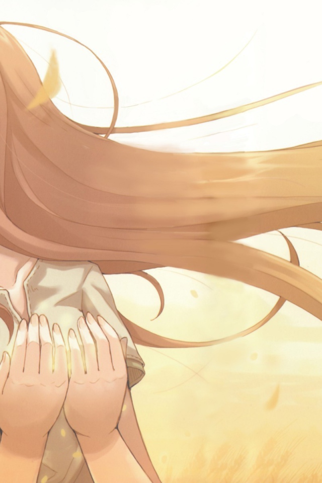 Холо из аниме Волчица и пряности