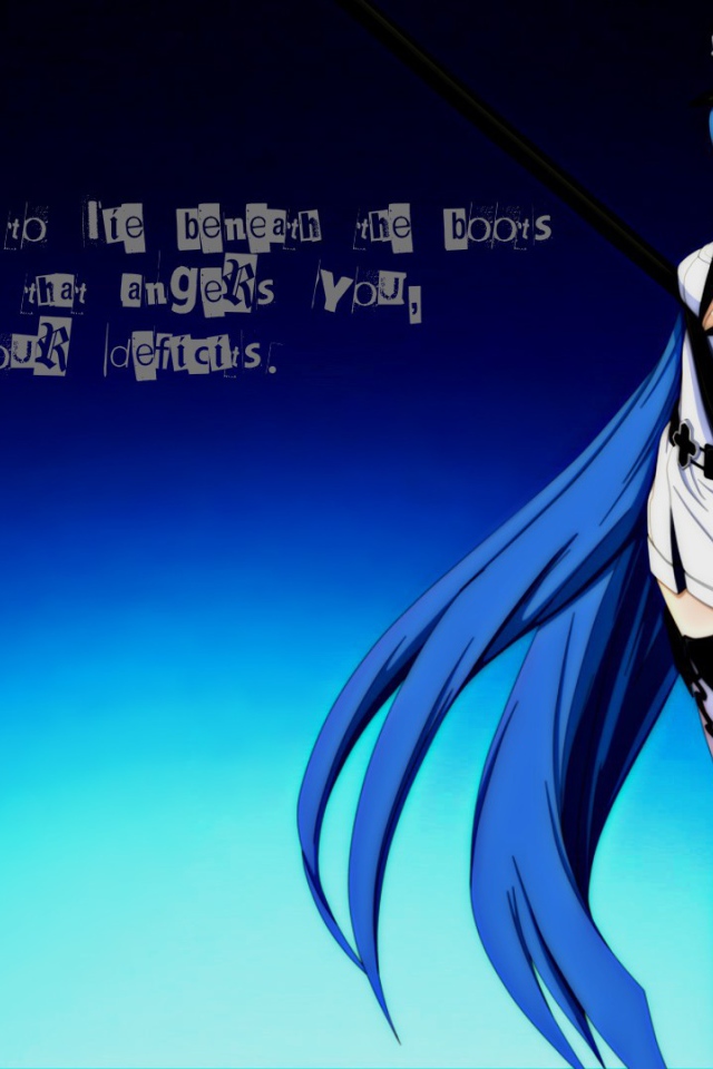 Long blue hair anime Akame ga Kill