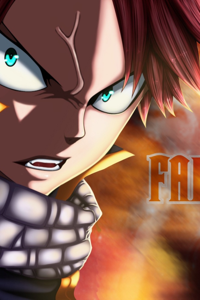 Манга аниме Сказка о хвосте феи