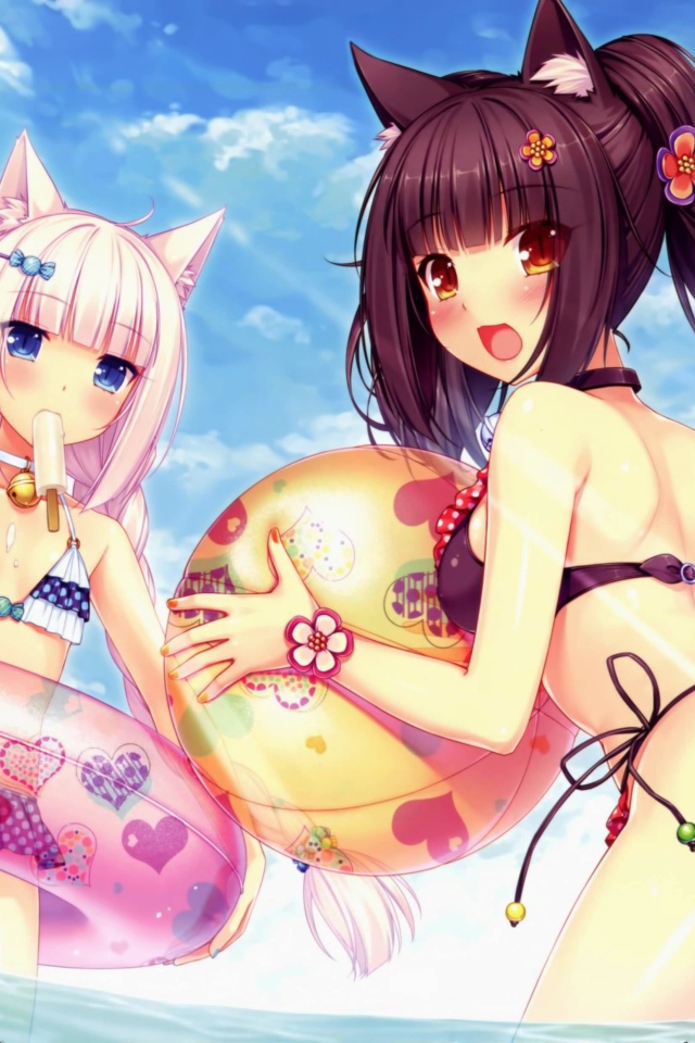 Отдых на пляже, аниме Neko Para