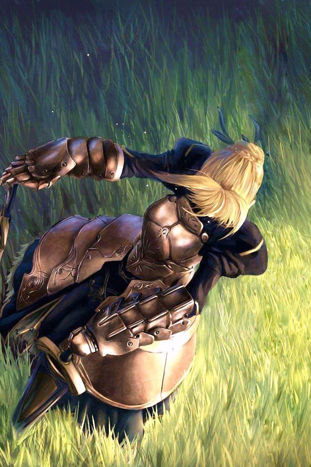 Тайп Мун в поле, аниме Ночь прибытия