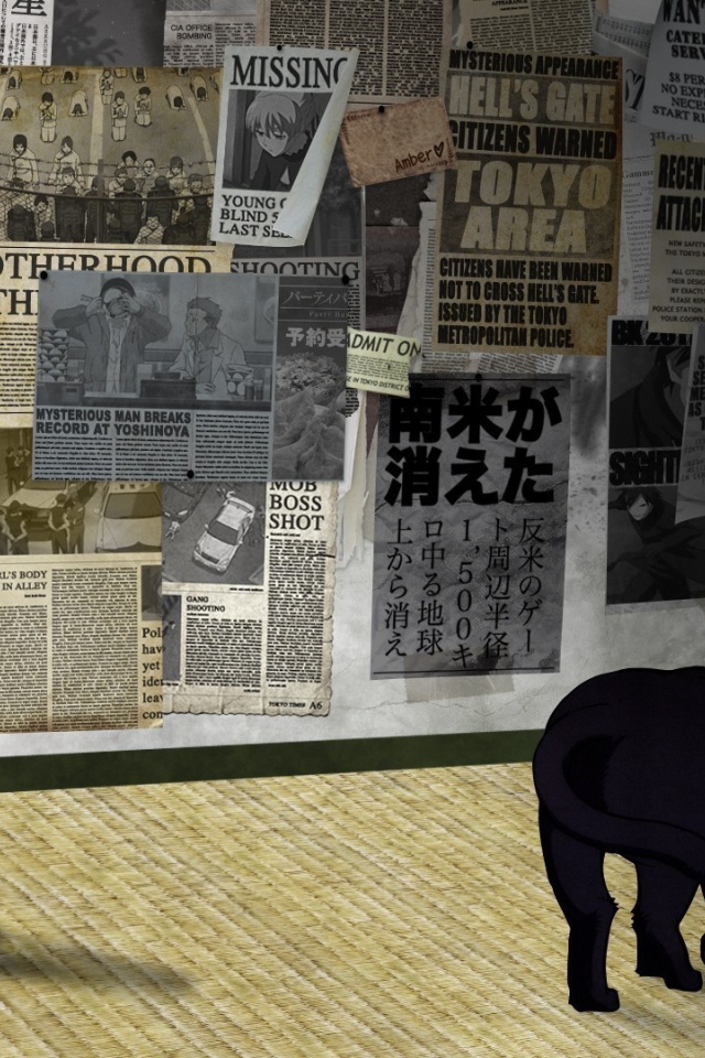 Кот в аниме Темнее черного