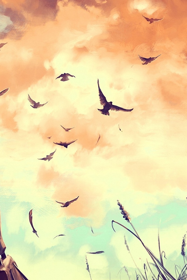 Мальчик смотрит на птиц