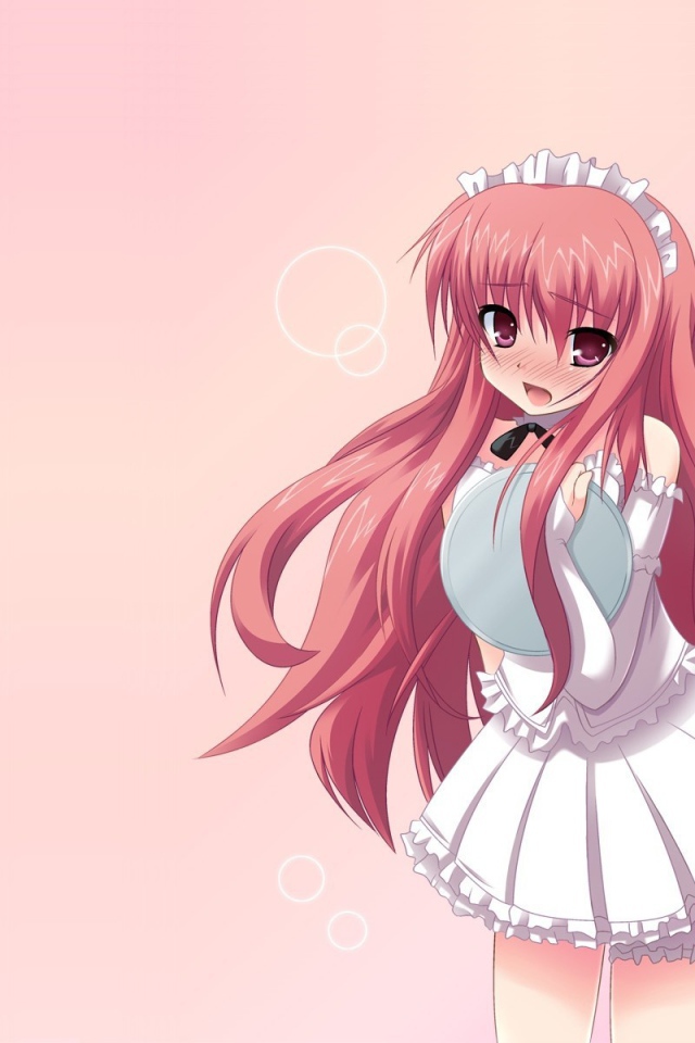 Девушка из аниме Подручный Луизы-Нулизы