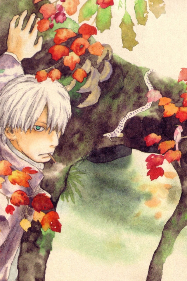 Главный герой аниме Мастер Муси