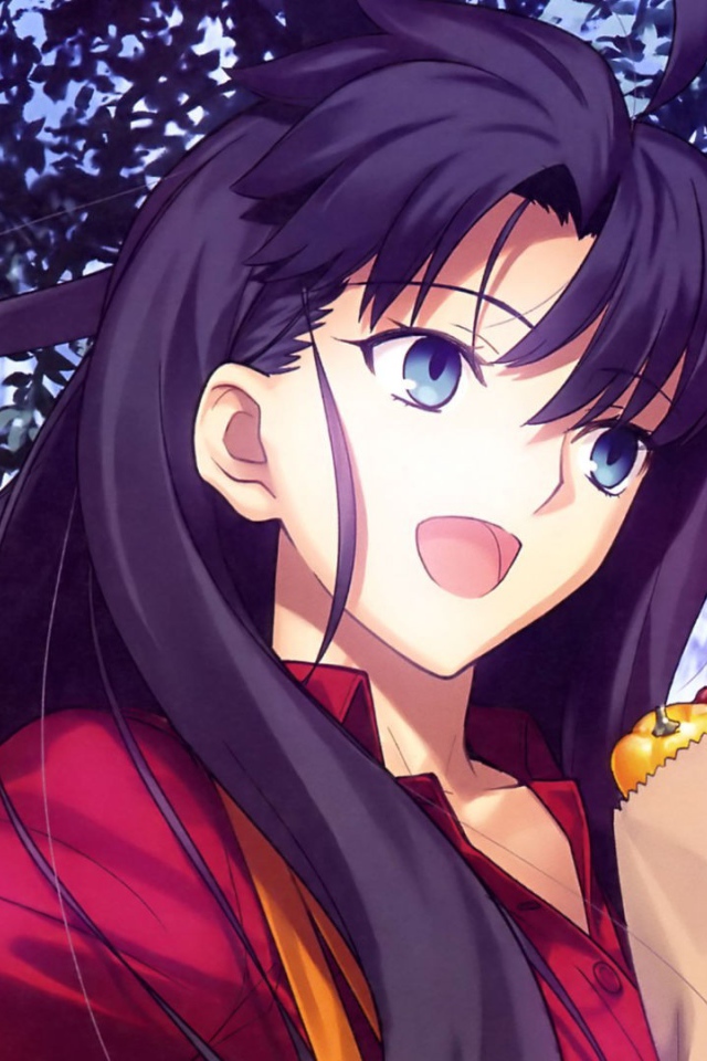 Тосака Рин, аниме Ночь прибытия