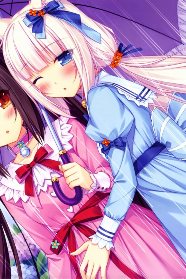 Две подружки под зонтом, аниме Neko Para