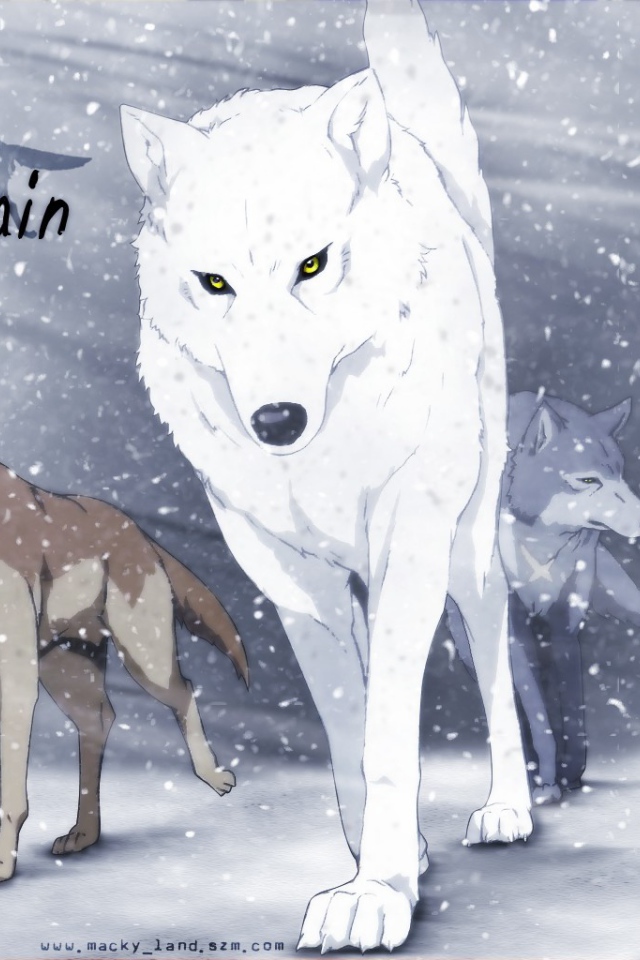Волки в аниме Wolf's Rain