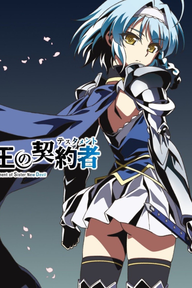 Юкки Нонака из аниме По велению адской сестры