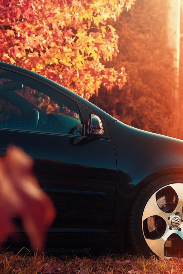 Черный автомобиль под осенней листвой