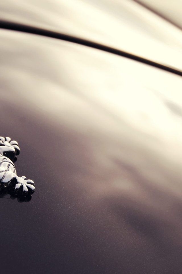 Логотип авто Wiesmann