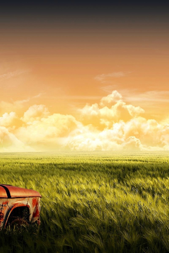 Старый автомобиль на зеленом поле