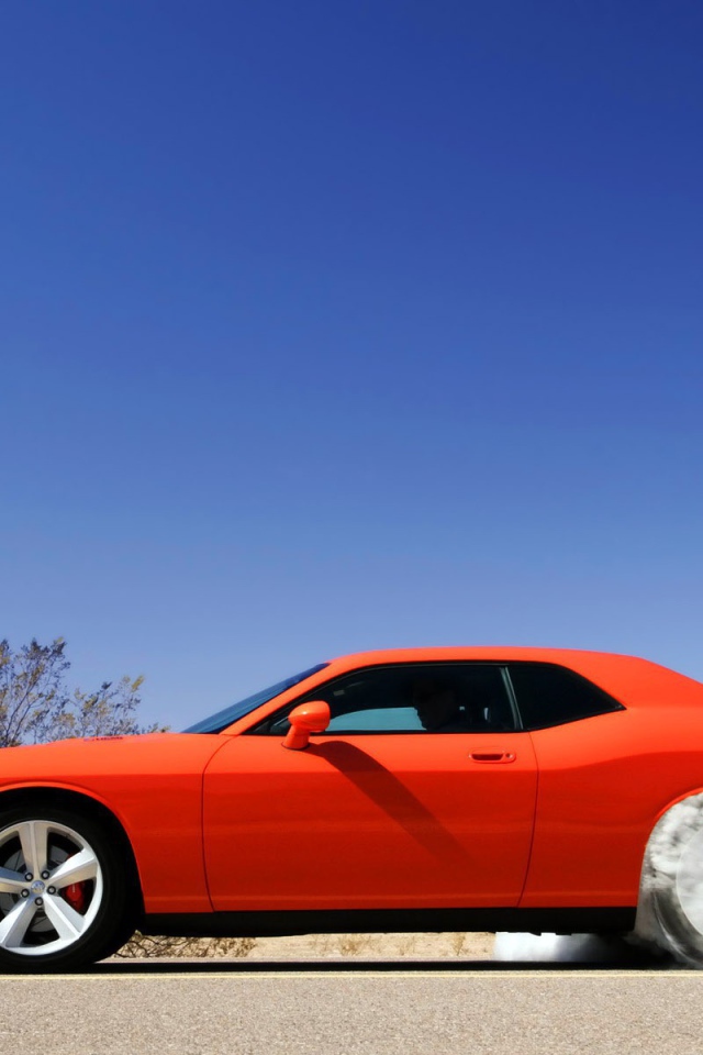 Оранжевый автомобиль стартует возле кактуса