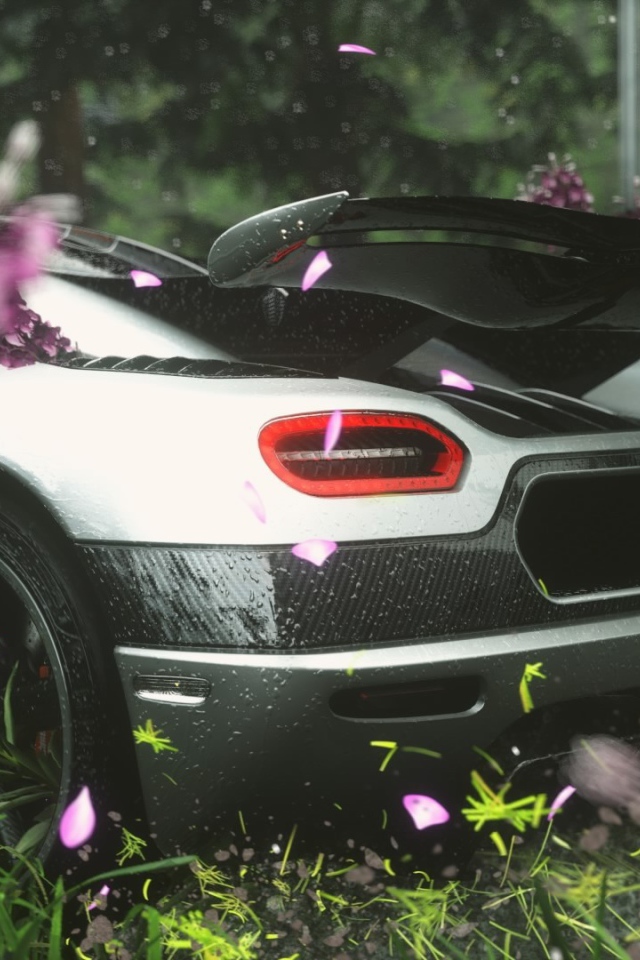 Вид сзади на спортивный автомобиль в цветах