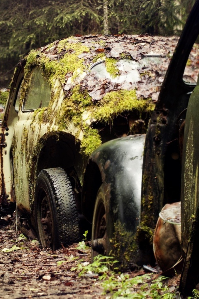 Остатки старых брошенных автомобилей