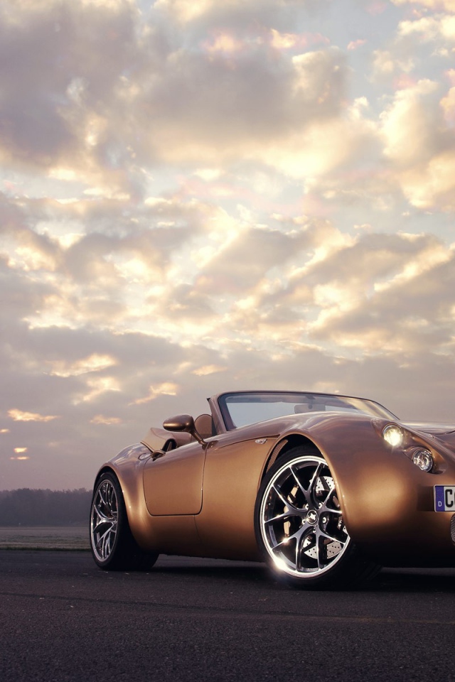 Спортивный коричневый Wiesmann