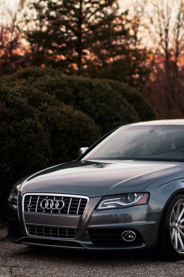 Dark gray Audi in hedge
