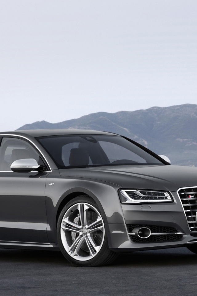 Серый семейный Ауди на фоне гор