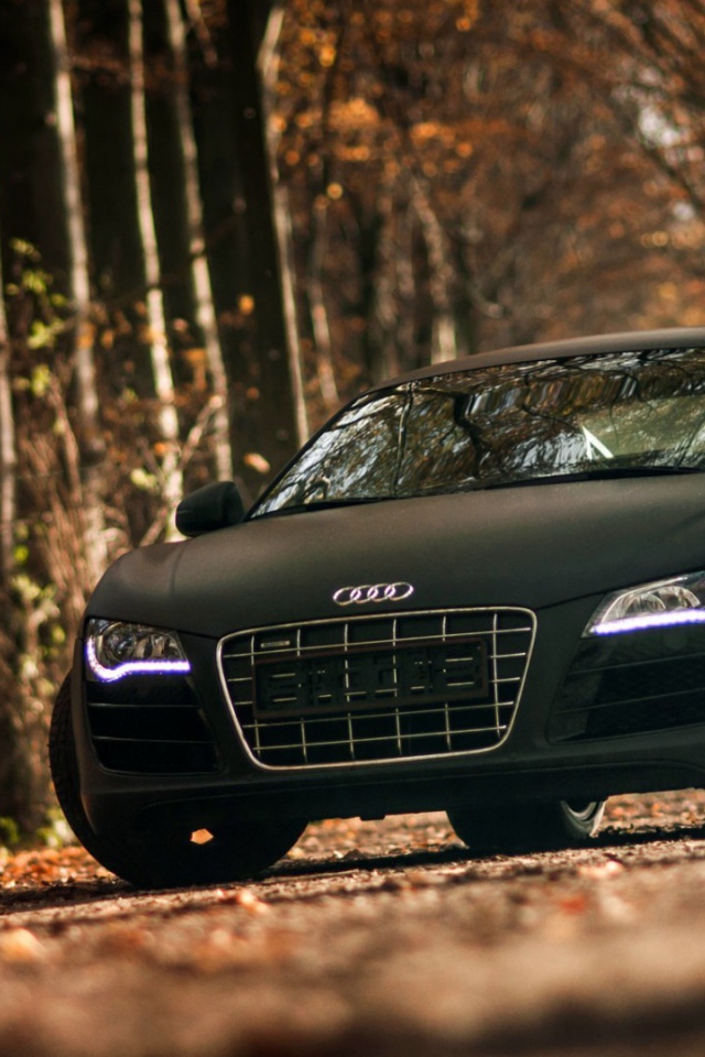 The two-door black Audi in the forest
