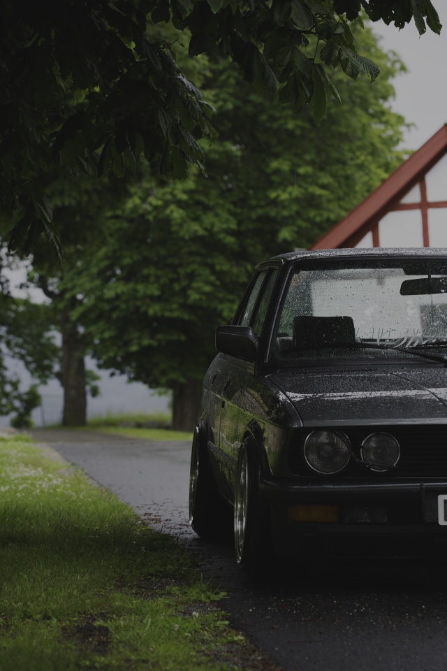 Старенький BMW E28 припаркован под деревом