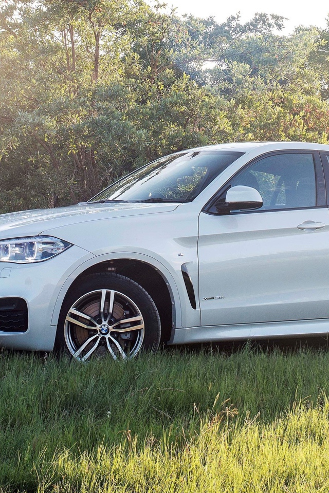 Полноприводный белый BMW на траве