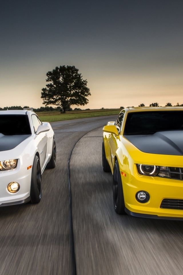 Соревнования белого и желтого Chevrolet Camaro