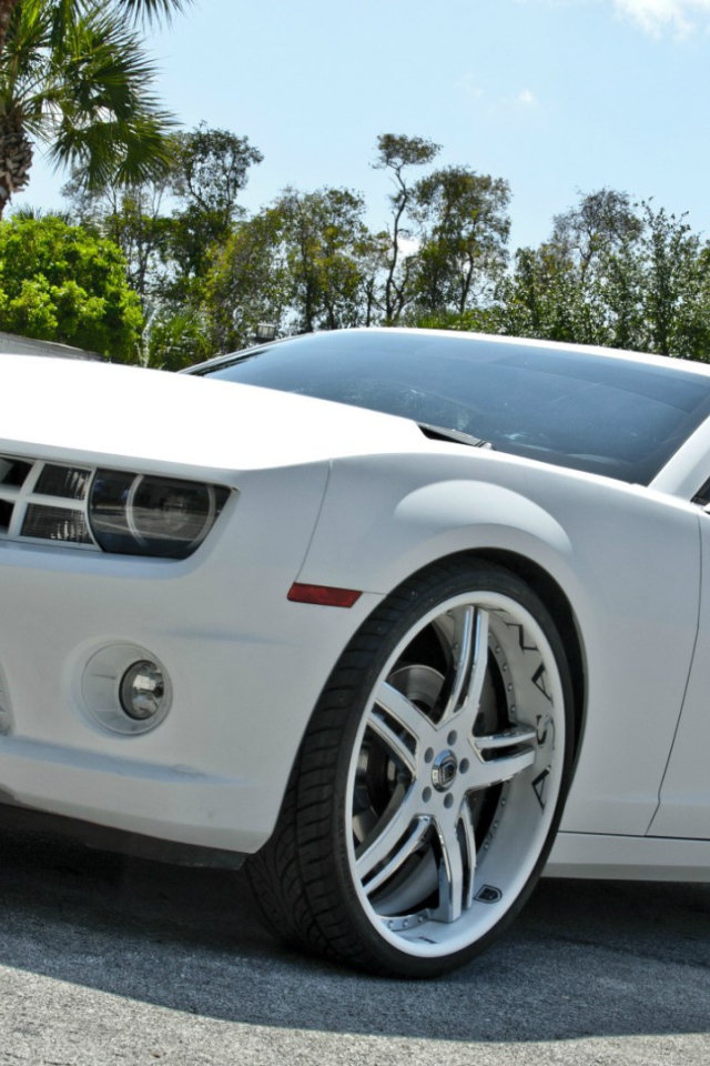 Мощный белый Chevrolet Camaro Asanti