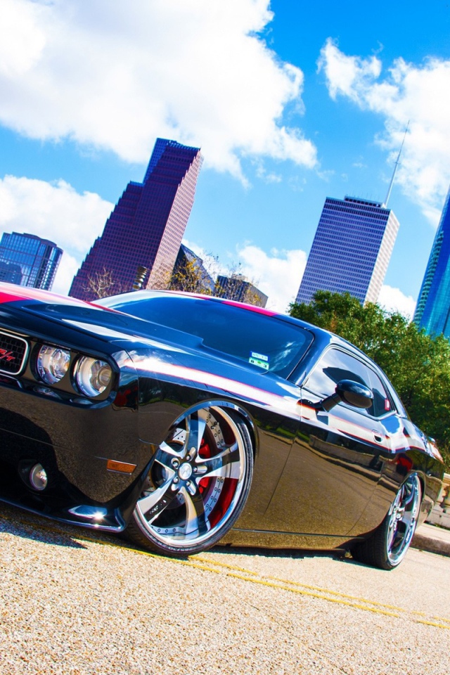 Черный Dodge Challenger с красными полосами на фоне небоскребов