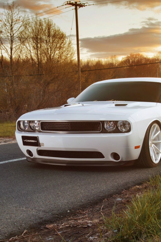 Белый Dodge Challenger на дороге