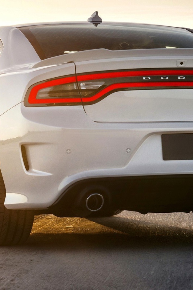 Вид сзади на Dodge Charger SRT 2015