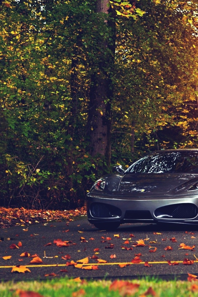 Автомобиль Ferrari F430 в осеннем парке