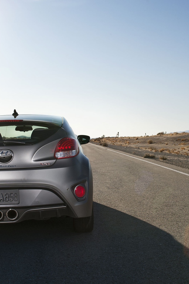 Вид сзади на Hyundai Veloster