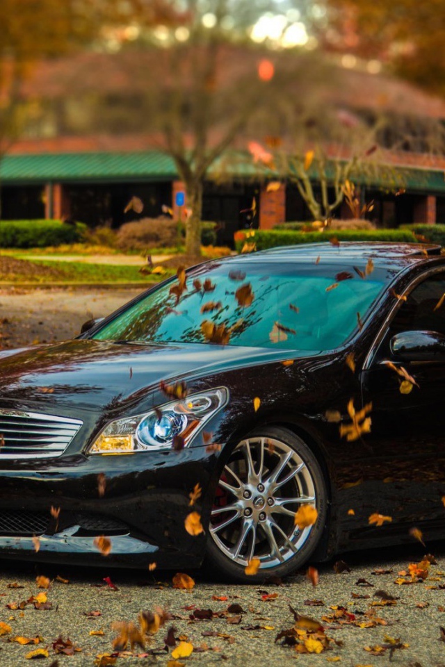 Infiniti car in autumn park