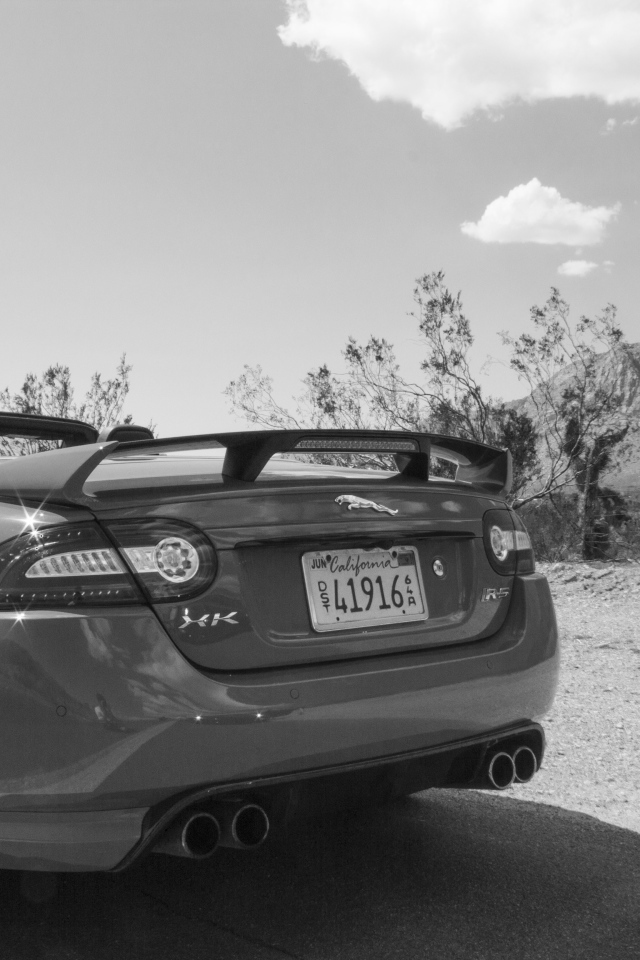 Черно белое фото автомобиля Jaguar