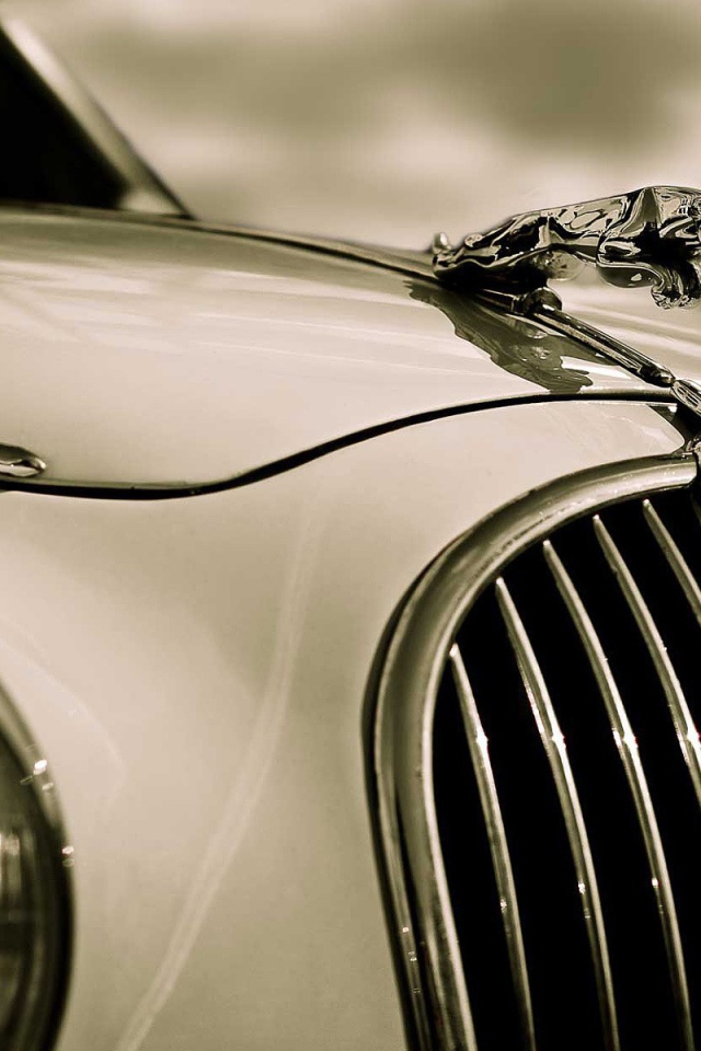 Фигурка на капоте Ягуара