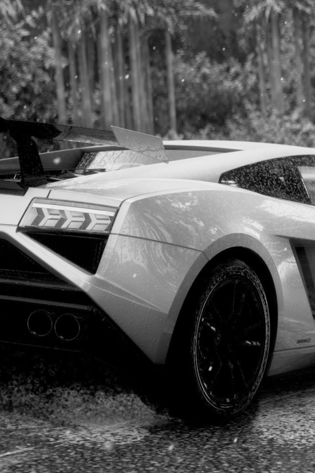 Черно белое фото Ламборгини под дождем