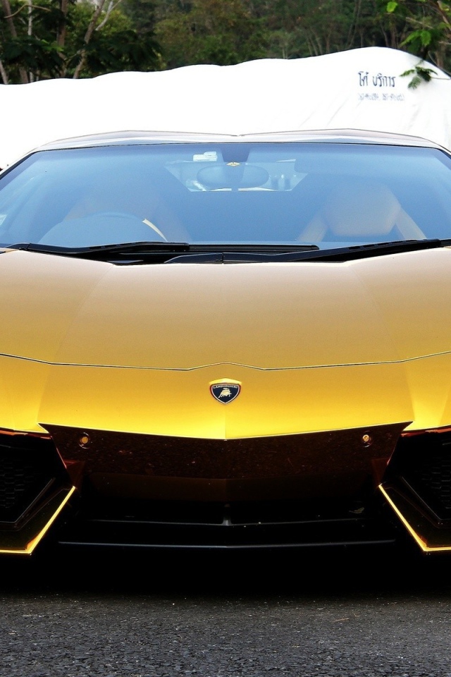 Золотой Lamborghini в Индии