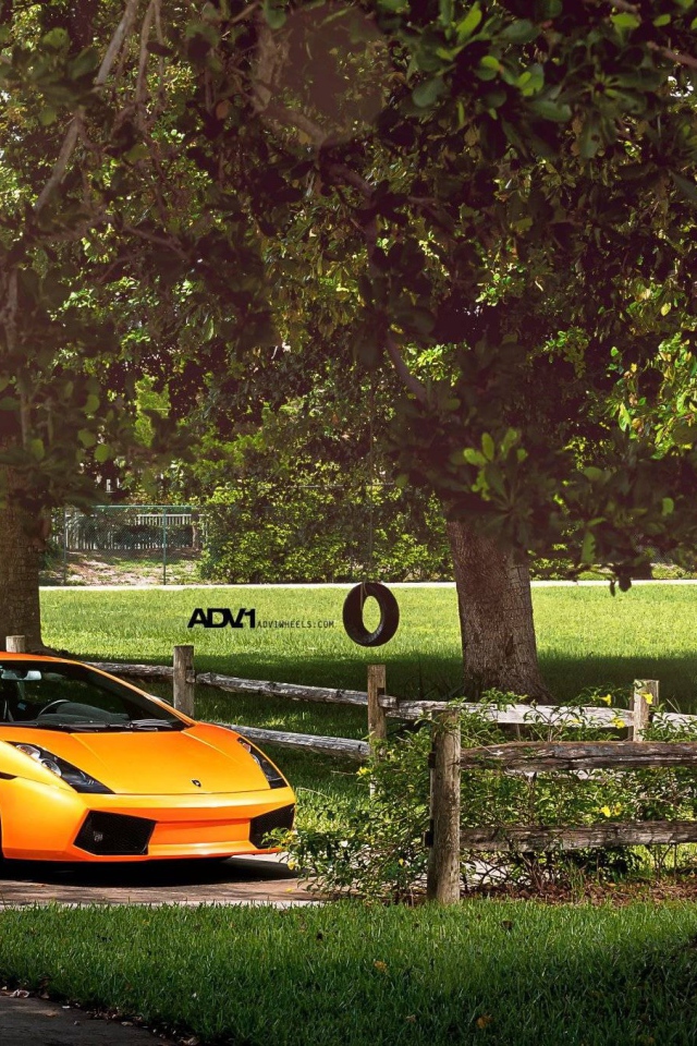 Оранжевый Lamborghini у фермерского забора
