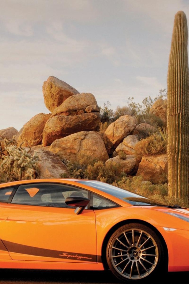 Оранжевый Ламборгини на фоне кактусов