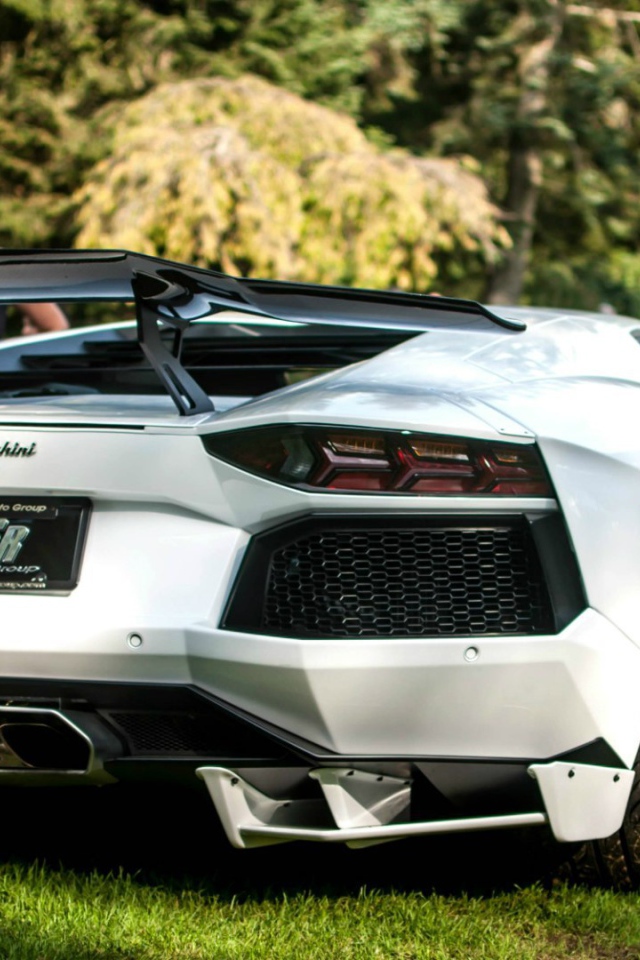 Белый Lamborghini Aventador LB-R на газоне