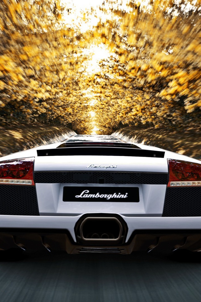 Белый Ламборгини мчится по аллее