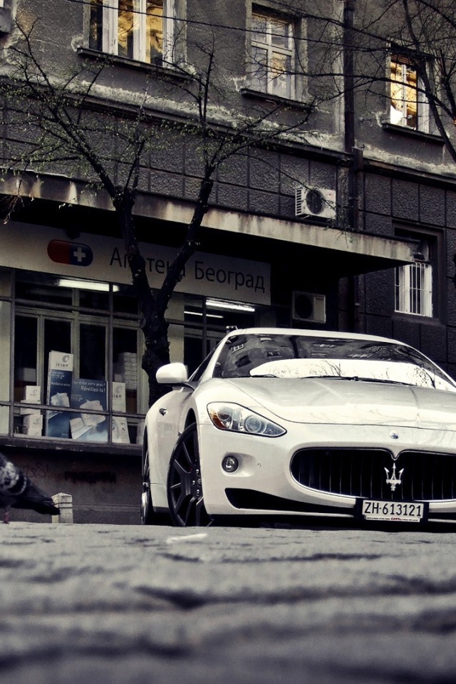 Maserati на улице в Белграде