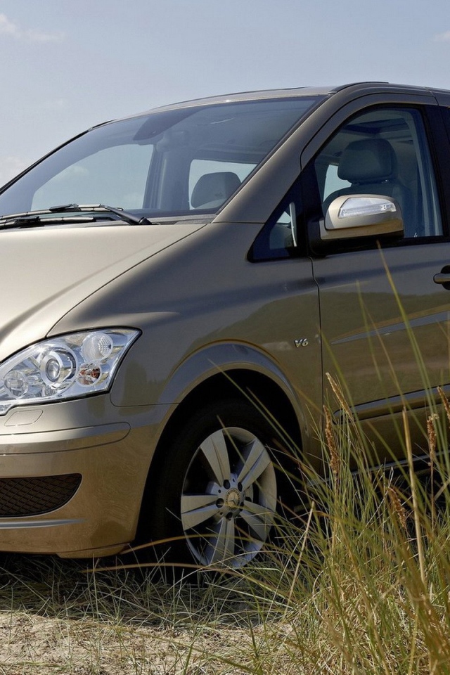 Семейный Мерседес на берегу водоема