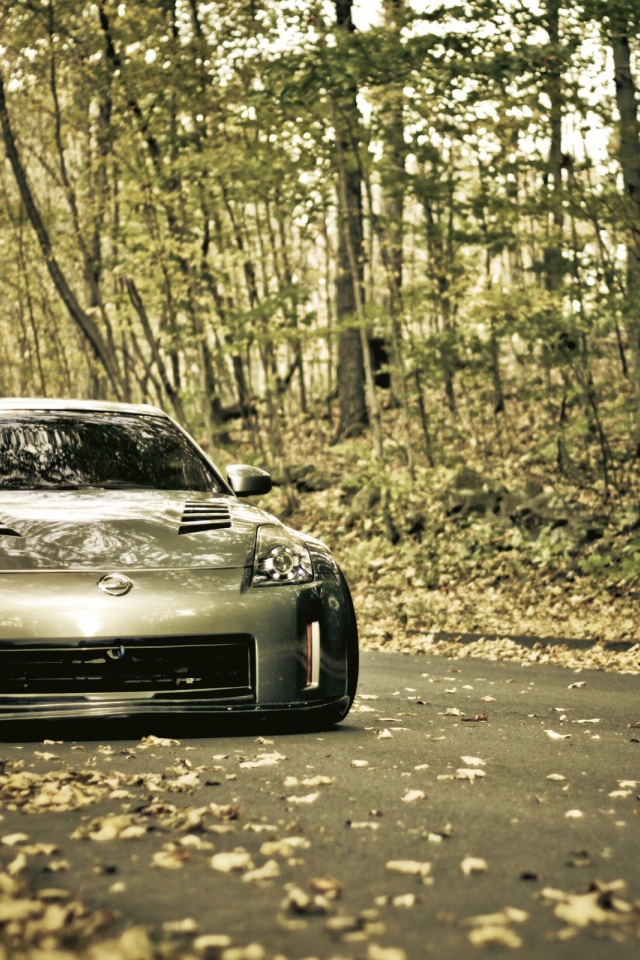 Серебристый Nissan 350Z в лесу