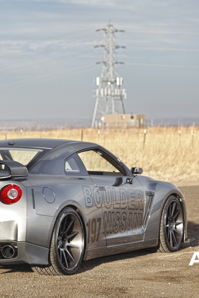 Серебристый спортивный Nissan GT-R на фоне поля